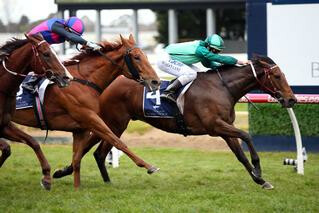 Current series leader Humidor (NZ) winning the first leg in the NZB Memsie Stakes.